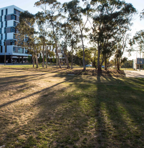 canberra university