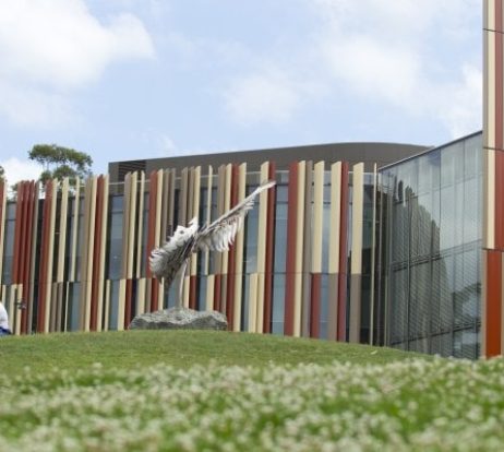 Macquarie-University-7-min.jpg